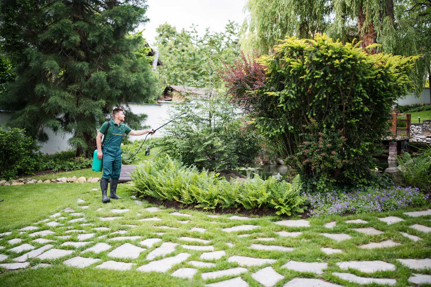 man spraying bushes for mosquitoes